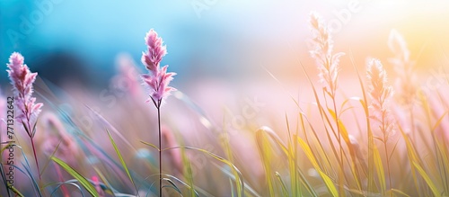 Pink flowers are blooming among lush tropical grass in a vibrant spring setting, creating a picturesque natural background