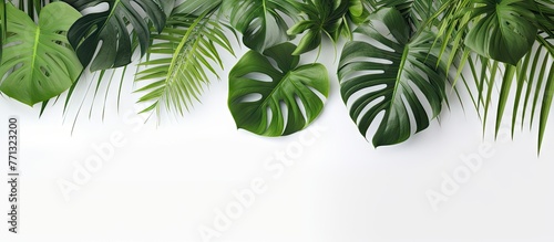 Vibrant green leaves arrang...