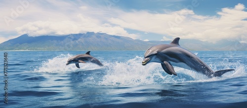 Group of playful dolphins j...
