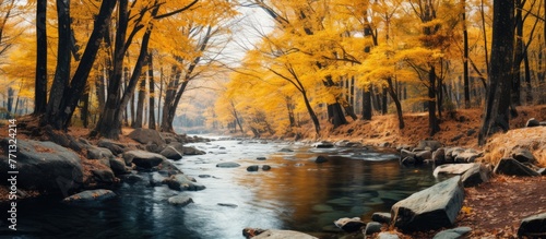 A scenic view of a river meandering through a lush forest filled with vibrant yellow and orange autumn leaves on the trees