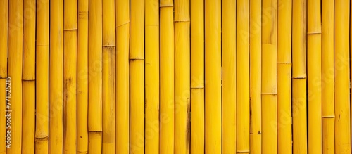 Close up of a bamboo fence ...