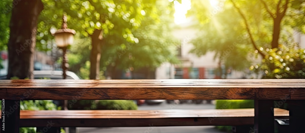 A simple wooden bench placed in the center of a peaceful park surrounded by greenery under the shade of trees - obrazy, fototapety, plakaty 