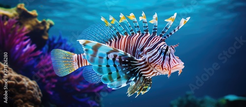 Vibrant lionfish with intricate patterns gracefully glide through the water along with various tropical sea creatures and vibrant coral in a well-kept aquarium