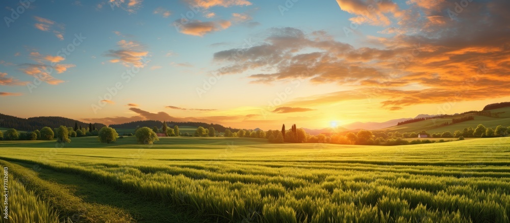 The sun setting over a vast field of golden wheat against a beautiful sky background