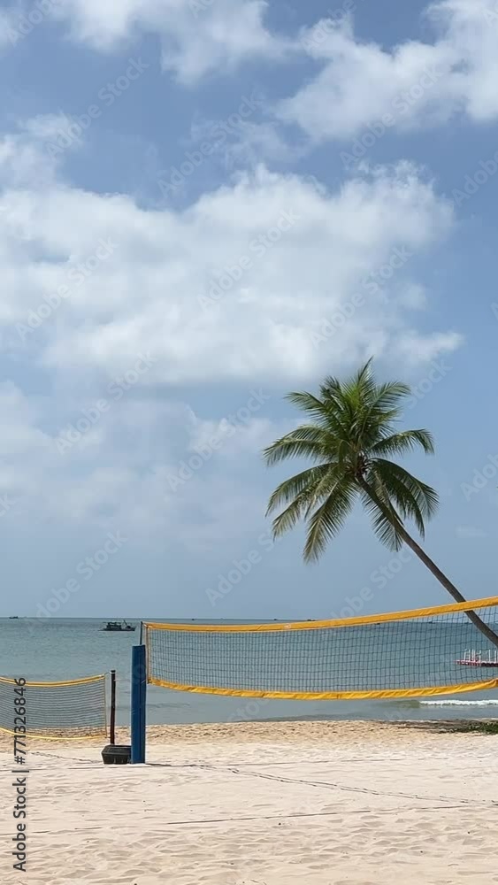 Vidéo Stock Rising view of Palm Trees and Volleyball court nets on