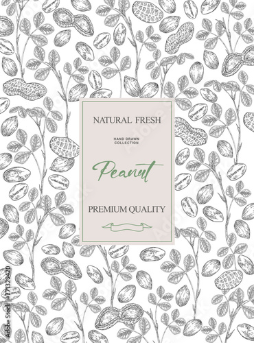 Peanut background. Hand drawn Peanut plant with nuts and leaves. Vector illustration black and white.