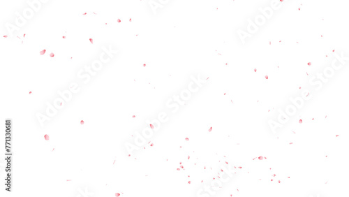 桜吹雪：桜の花びらイラスト