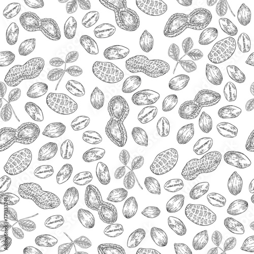 Peanut seamless pattern. Hand drawn Peanuts nuts and leaves. Vector illustration black and white.