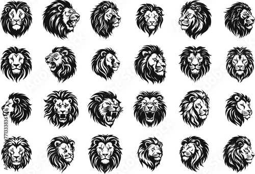 Set of Lion head vector illustration 