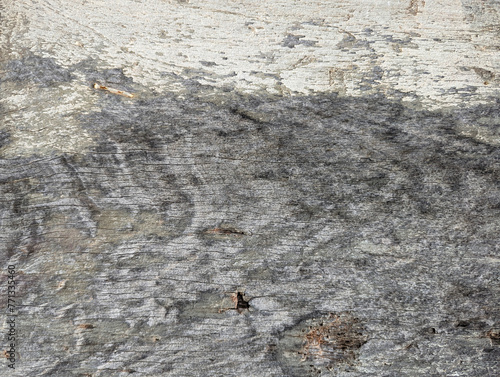 Texture of ancient wooden beam on a door, Najera village, La Rioja, Spain photo