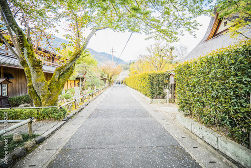 Arashiyama photo