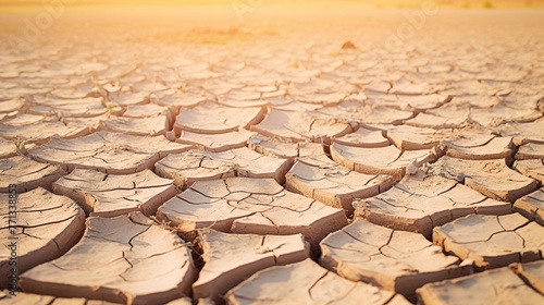 Cracked earth surface, showcasing deep fissures and dried mud texture, with additional details of scattered small rocks and pebbles.
