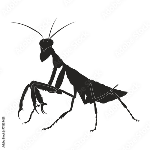 Wallpaper Mural Praying Mantis Silhouette Torontodigital.ca