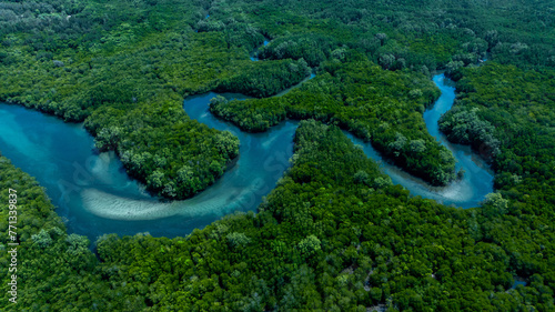 Aerial view mangrove forest natural landscape environment, River in tropical mangrove green tree forest, Mangrove landscape ecosystem and environment.