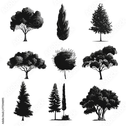Collection of winter tree silhouettes separated isolated on transparent background
