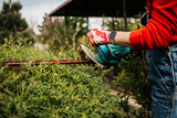 A woman gardener in work uniform trims a bush with electric scissors. Handmade in the summer season.