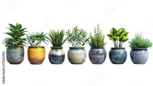 Decoration with a Stylish Rack Adorned by Potted Succulent Plants on a White background