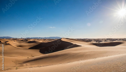 A vast desert expanse with rolling dunes under a sunny sky