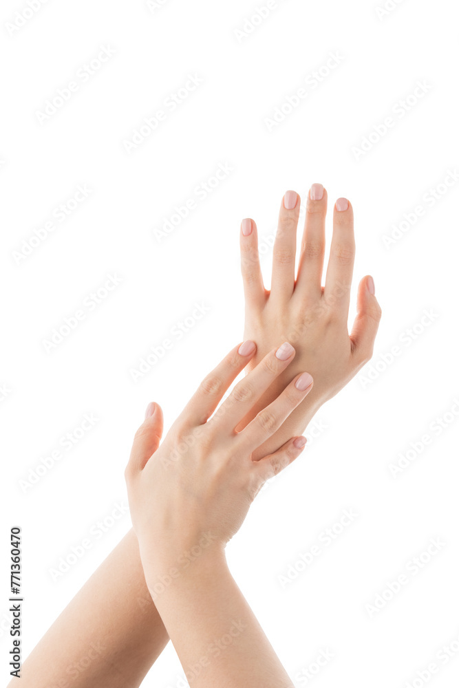 Young woman hands showing elegance isolated on white background Young woman hands showing elegance isolated on white background