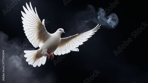 The flight of a dove is a symbol of freedom and peace on a dark background in smoke