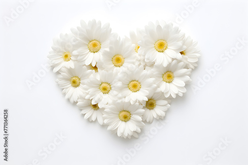 Heart formed from white daisies on white background view from above. Spring or holiday greeting card or invitation