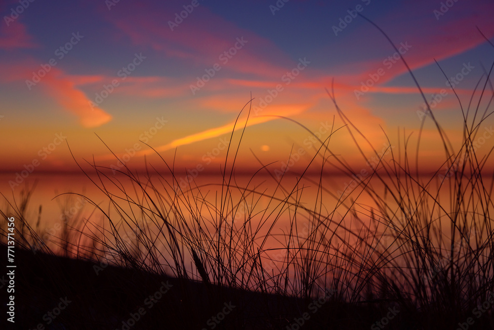A beautiful early spring landscape of Baltic Sea beach with grass silhouettes against the colorful sky. Natural scenery of Northern Europe. - obrazy, fototapety, plakaty 