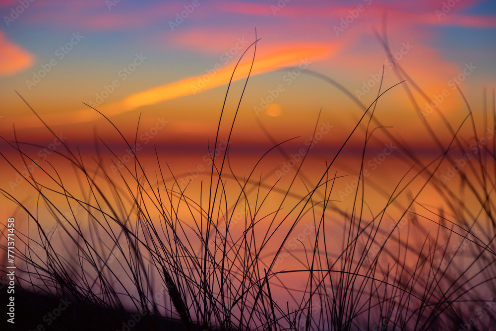 A beautiful early spring landscape of Baltic Sea beach with grass silhouettes against the colorful sky. Natural scenery of Northern Europe.
