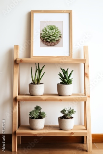 A wooden shelf with four potted plants on it. There is a framed picture of a succulent on the top shelf. © Adobe Contributor