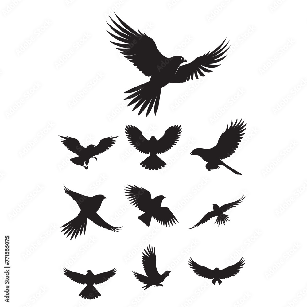 Hawk bird silhouette vector set ,hawk bird logo Hawk bird silhouette vector set ,hawk bird logo
