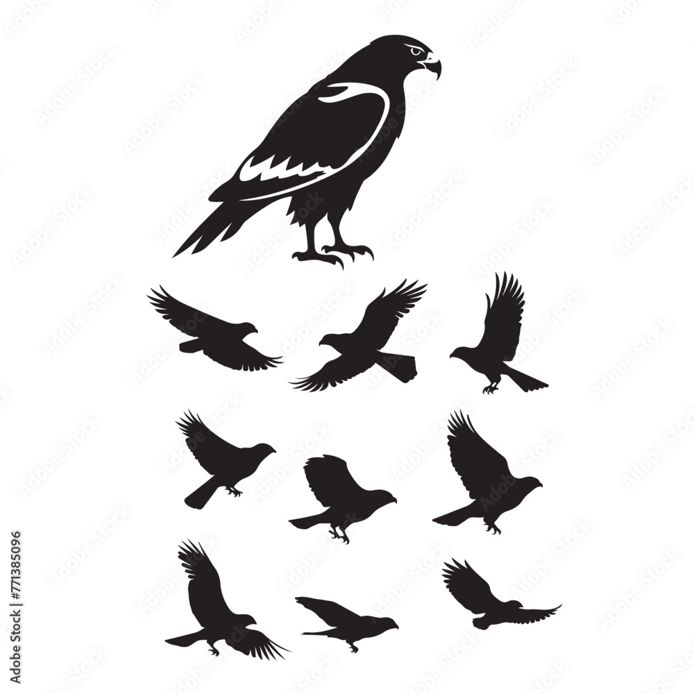 Obraz premium Hawk bird silhouette vector set ,hawk bird logo