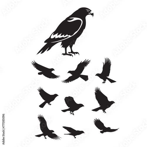 Hawk bird silhouette vector set ,hawk bird logo