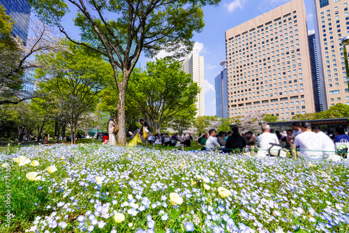 超高層ビルに囲まれた新宿中央公園芝生広場のお花見 photo