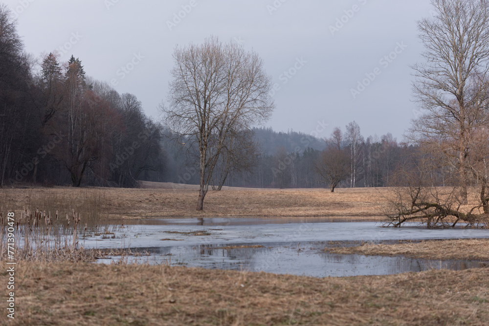 A beautiful early spring landscape with a river. Natural rural scenery of Northern Europe. A beautiful early spring landscape with a river. Natural rural scenery of Northern Europe.