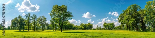 Trees Sky. Summer Park Landscape with Green Meadow and Trees in Panoramic View