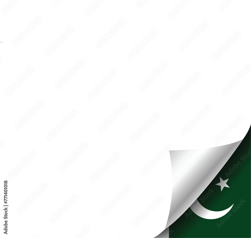 PAKISTAN FLAG TEMPLATE PAKISTAN FLAG TEMPLATE
