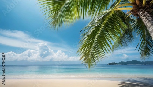 Tropical summer background with palm leaf and blue sky. Tourism and travel concept.