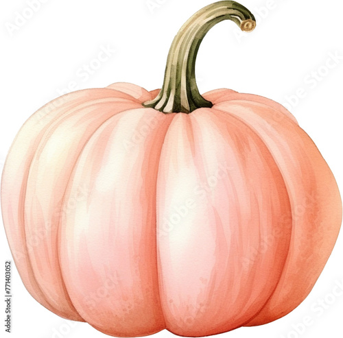 Watercolor pumpkin