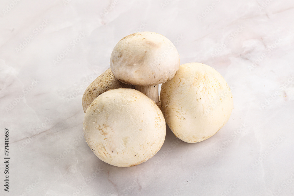 Fototapeta premium Natural organic ripe champignon mushrooms