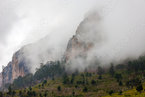 Mountains in the clouds. View of the mountain peak in the fog. Beautiful landscape with high cliffs. Dedegol. Turkey. © zhukovvvlad