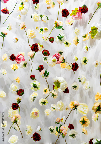 White background with red and white and yellow rose flowers hanging in the air.