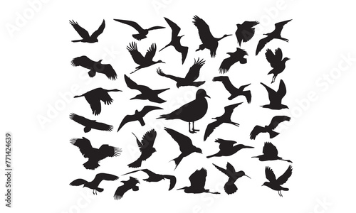 see gull SVG,, Silhouette, Cut File, cutting files, printable design, Clipart, photo