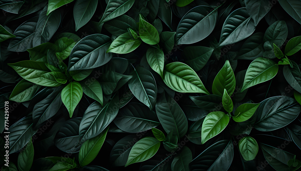 Naklejka premium Verdant Whispers: A Captivating Close-up of Natures Lush Green Symphony