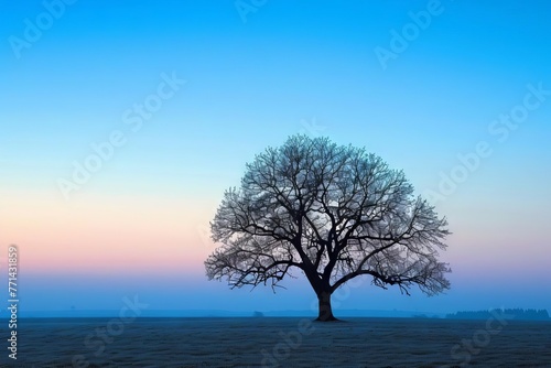 Serenity in Solitude Lone Tree Silhouette at Twilight © furyon
