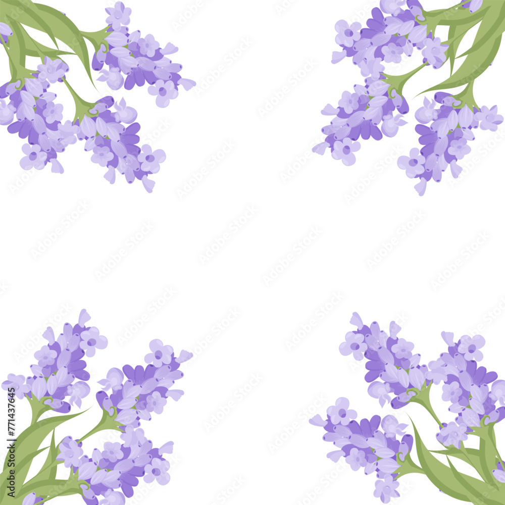 Decorative frame of lavender flowers for your design. Vector illustration isolated on white background.