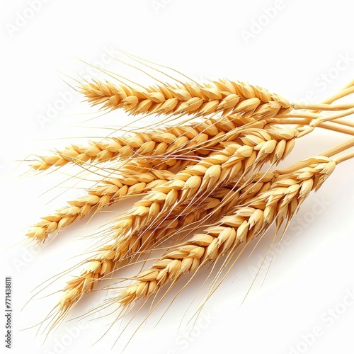 Horizontal wheat ears isolated on a white background with clipping path. Full Depth of field. Generative AI 