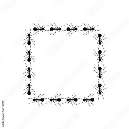 Ants road of square shape stop view design vector illustration isolated on white background. Trail line curve of ants bug in row. Pest control or insect searching illustration