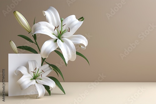 Single lily bloom. Minimalist floral arrangement. 