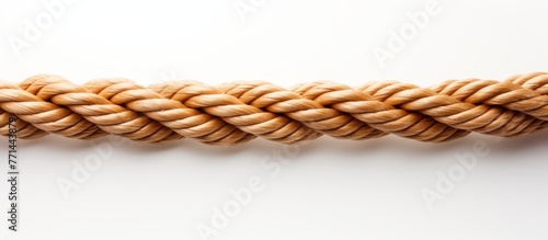 A detailed closeup of a rope made from natural materials like plant fibers or hair, against a white background. The texture of the rope is emphasized, showcasing its craftsmanship