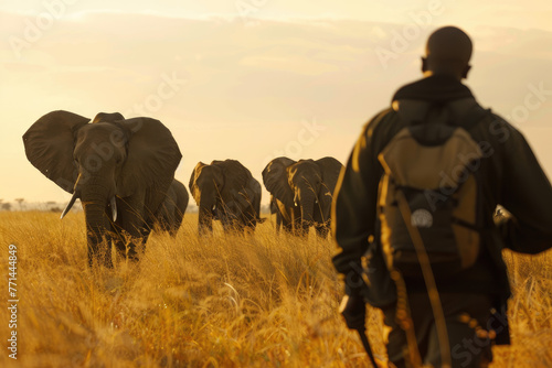 A group of elephants standing in the grass, with a guide leading them on foot and another person observing from behind