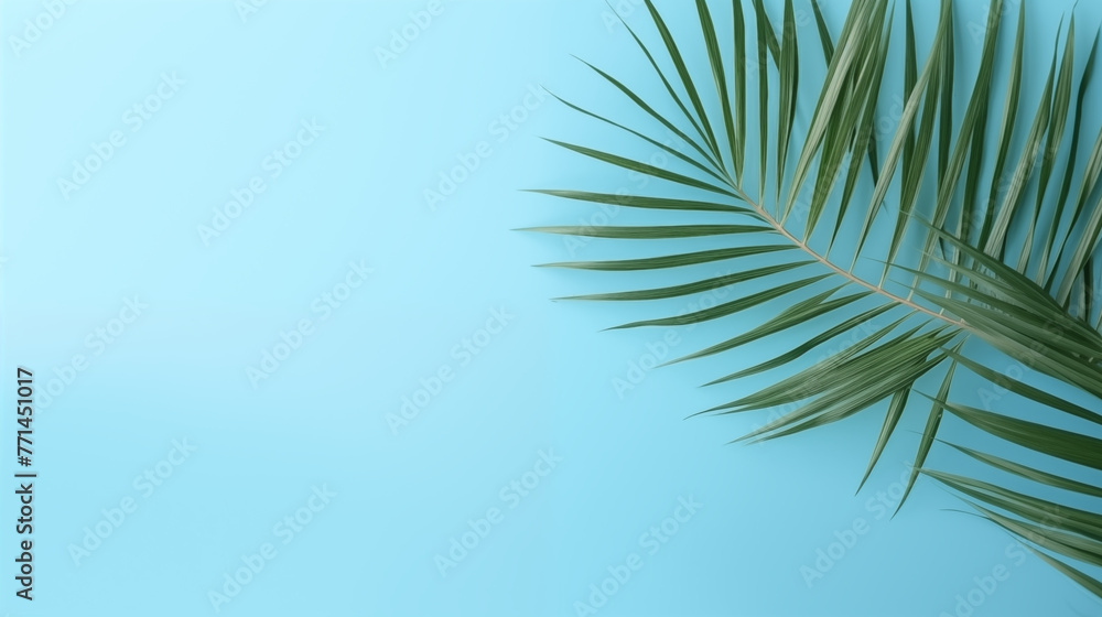 Palm tree branch against a blue wall. A shadow falls on the wall. Abstraction for background. Palm tree branch against a blue wall. A shadow falls on the wall. Abstraction for background.